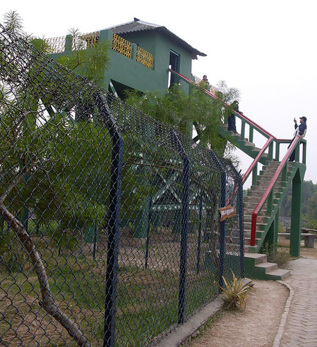 Sajnekhali watch tower & Museum